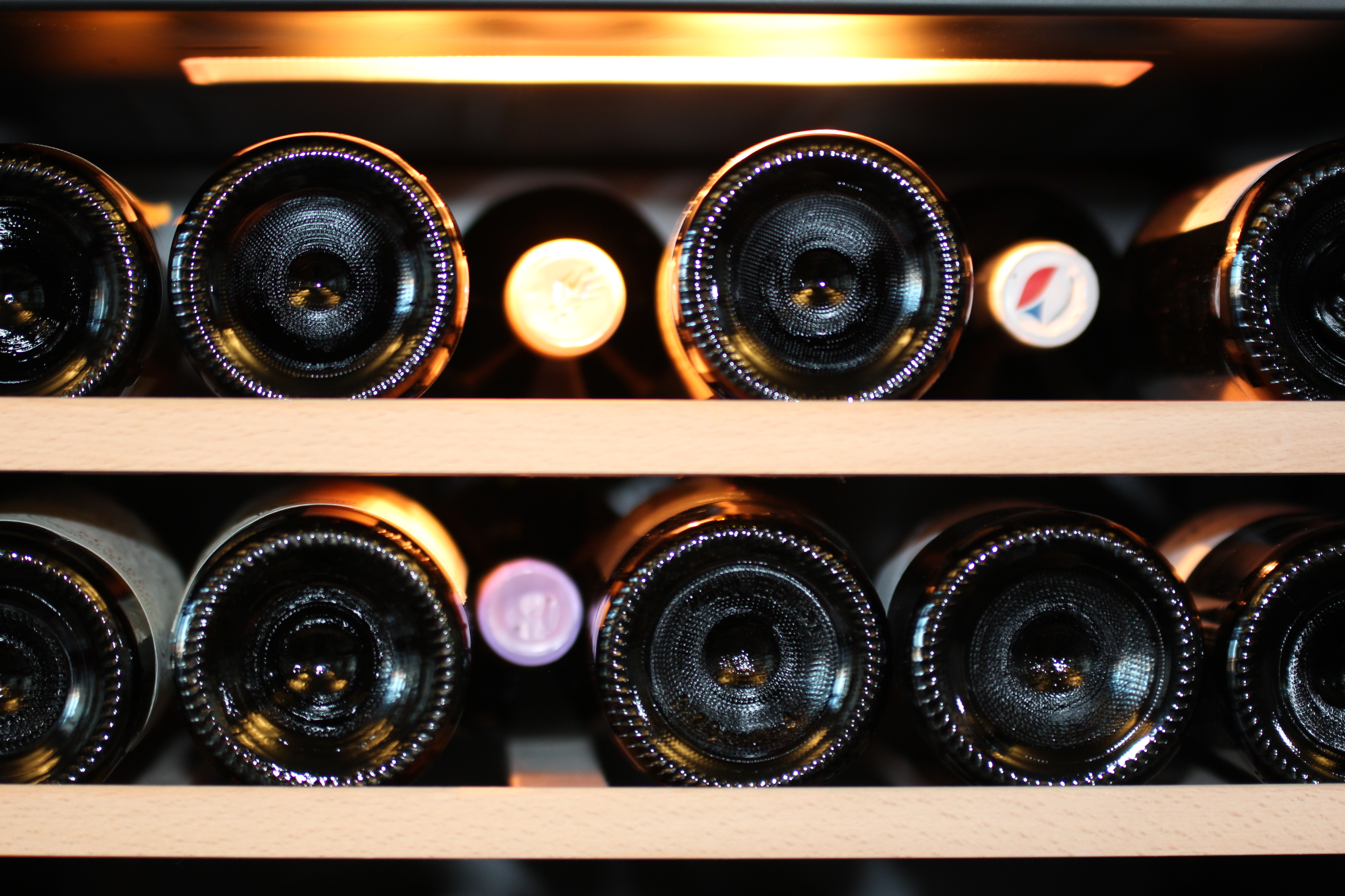 výborné víno v Novém Jičíně